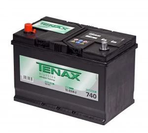 Аккумулятор Tenax Asia 91L прям. пол. 740A 306x173x220