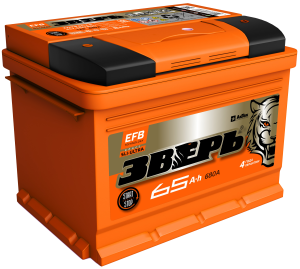 Аккумулятор Зверь EFB 65 Ач обр. пол. 680А 242х175х190