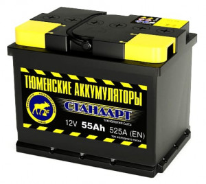 Аккумулятор Тюменский СТАНДАРТ 55R обр. пол. 525A 242x175x190