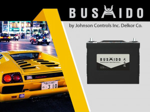 Аккумулятор BUSHIDO EFB Start-Stop 135D26L S95 85 Ач обр. пол. 850А 260x173x220