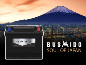 Аккумулятор BUSHIDO EFB Start-Stop 135D26L S95 85 Ач обр. пол. 850А 260x173x220