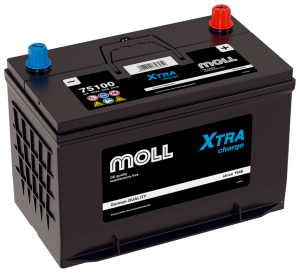 Аккумулятор MOLL XTRA CHARGE Asia 100 Ач 800А прям. пол. 305х171х220