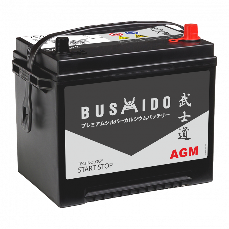 Аккумулятор BUSHIDO AGM D26 75 Ач обр. пол. 710А 260х173х220