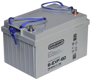 Тяговый аккумулятор Gelbert 6-EVF-60 (12V64A/H C5) прям. пол 262х265х169