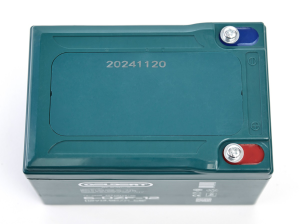 Тяговый аккумулятор Gelbert 6-DZF-12 (12V14.5A/H C5) прям. пол 151х100х99