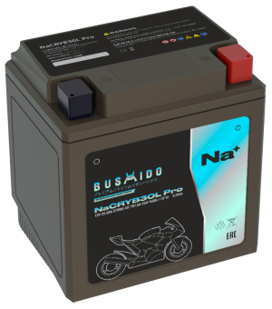 Аккумулятор BUSHIDO NaCRYB30L Pro Натрий-ионный 22,5Ач 450A обр. пол. 168x126x175 YB30L-BS