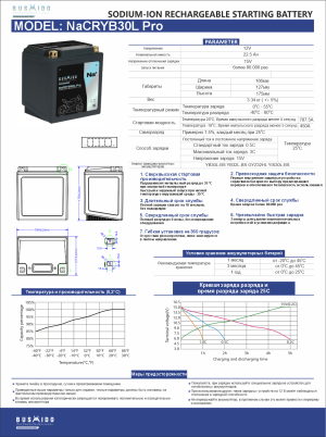 Аккумулятор BUSHIDO NaCRYB30L Pro Натрий-ионный 22,5Ач 450A обр. пол. 168x126x175 YB30L-BS