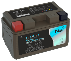 Аккумулятор BUSHIDO NaCR10S Pro Натрий-ионный 9Ач 180A прям. пол. 150x86x94 YTZ10S-BS
