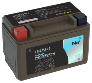Аккумулятор BUSHIDO NaCRX9 Pro Натрий-ионный 9Ач 180A прям. пол. 150x86x107 UTX9-BS