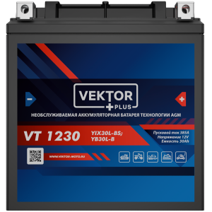 Аккумулятор для мототехники VEKTOR+ AGM VT1230 30Ач 385A обр. пол. 166x127x175 (YIX30L-BS)
