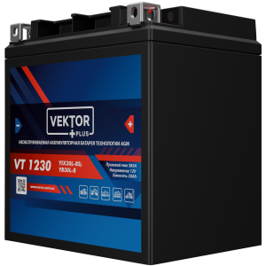 Аккумулятор для мототехники VEKTOR+ AGM VT1230 30Ач 385A обр. пол. 166x127x175 (YIX30L-BS)