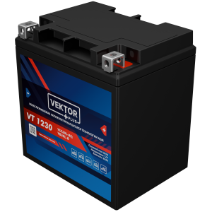 Аккумулятор для мототехники VEKTOR+ AGM VT1230 30Ач 385A обр. пол. 166x127x175 (YIX30L-BS)